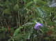ob08_rain-09