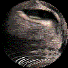 Rotating Rhoco Globe